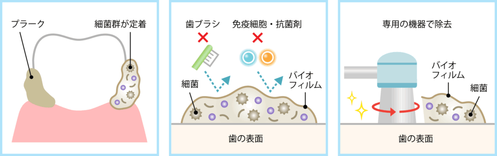 バイオフィルムのはたらき